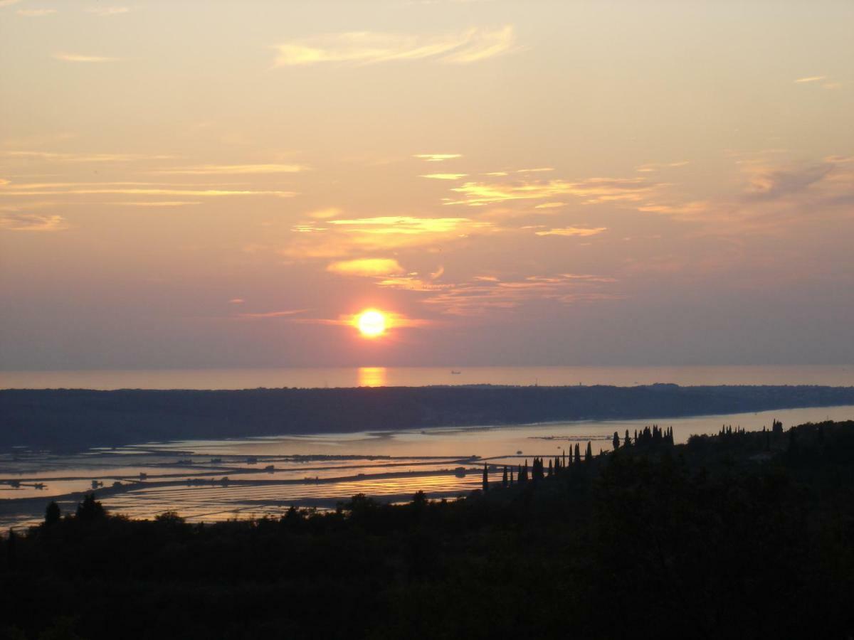 Apartma Medosi Izola Bagian luar foto