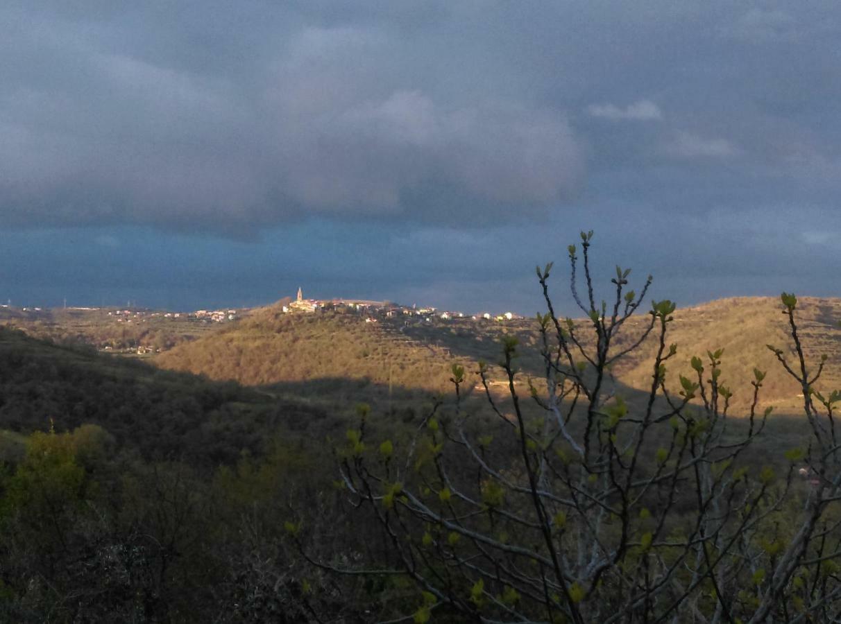 Apartma Medosi Izola Bagian luar foto